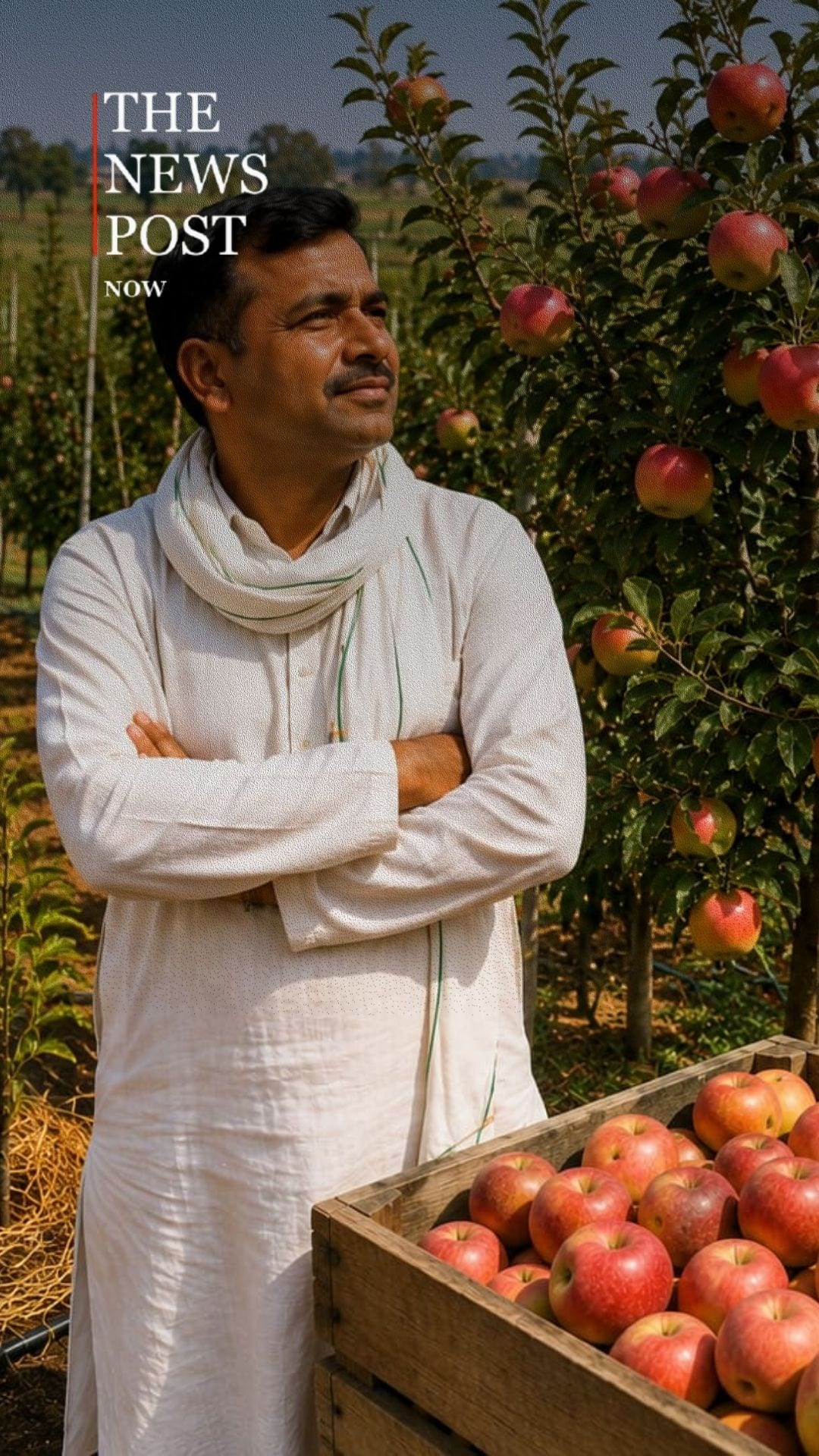 हरियाणा की तपती गर्मी में लहलहाया सेब का बाग, 50°C में सेब उगाकर किसान ने बदली सोच